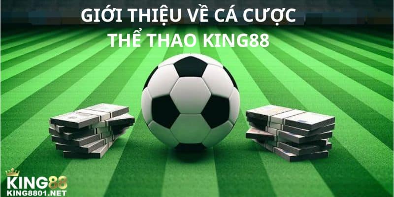 Giới thiệu về cá cược thể thao KING88