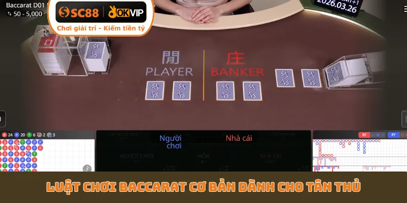 Luật chơi Baccarat cơ bản dành cho tân thủ