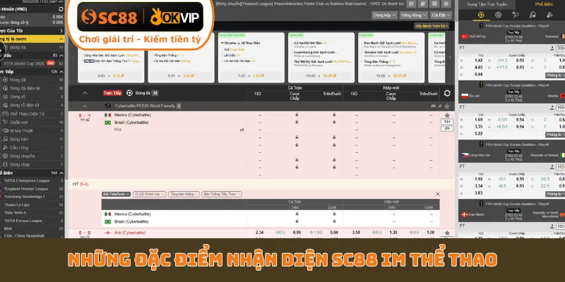 Những đặc điểm nhận diện SC88 IM Thể Thao
