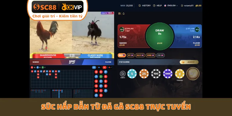 Sức hấp dẫn từ đá gà SC88 trực tuyến